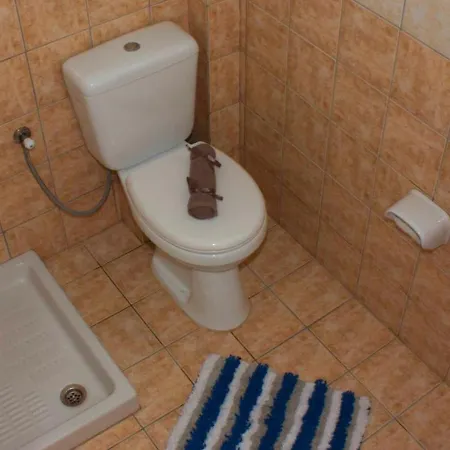 Aparthotel Litsa 2*